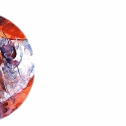 半岛体育app下载-中国冬奥简史