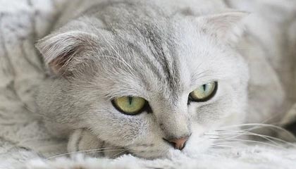 半岛体育入口-大众娱乐彩票网页版——开启你的幸运之旅